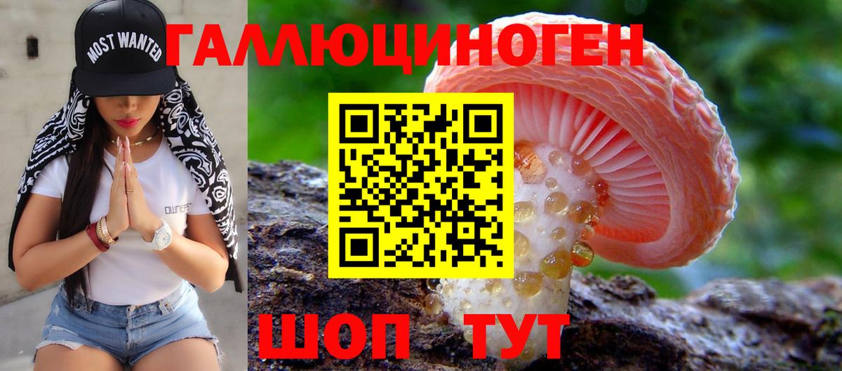 Новозыбков  Галлюциногенные грибы ЛСД  Вход с VPN  Псилоцибиновые грибы мухоморы 