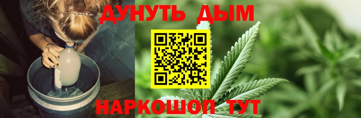 Шишки марихуана гибрид Новозыбков